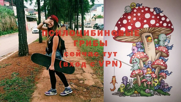 PSILOCYBIN Верхний Тагил