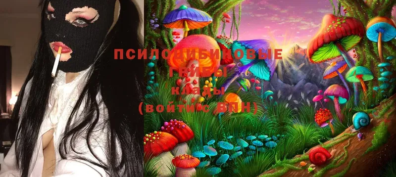 Псилоцибиновые грибы Psilocybe  где найти наркотики  Талдом 